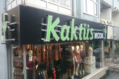 Kaktüs Moda Paslanmaz Krom Kutu Harf Tabela